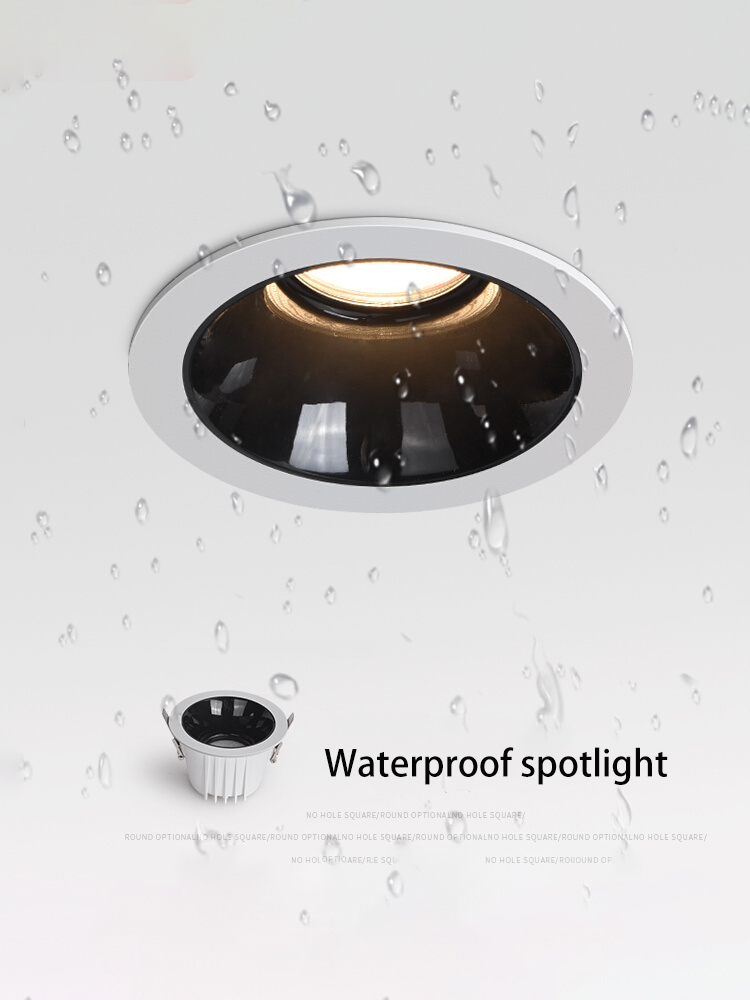 BRGT Led Waterproof Spotlight  - Commercial Kitchen Light review and price